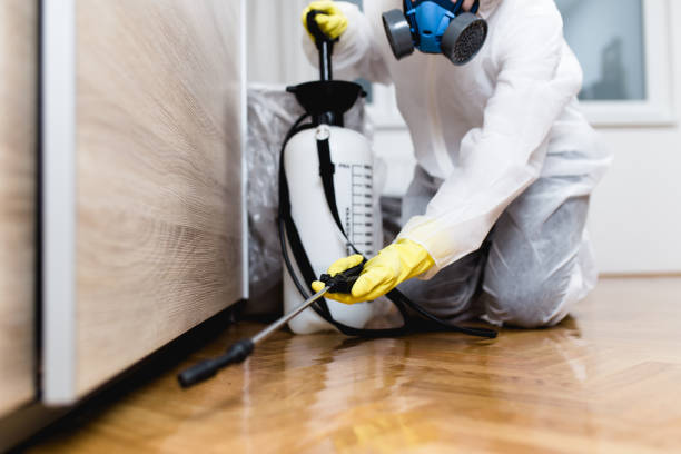 Professional Pest Control in Brunswick, MD