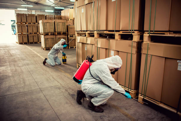 Best Termite Control Services  in Brunswick, MD