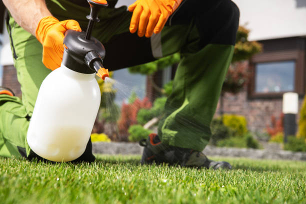 Best Affordable Pest Control Services  in Brunswick, MD