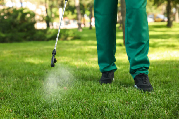 Best Pest Control for Restaurants  in Brunswick, MD