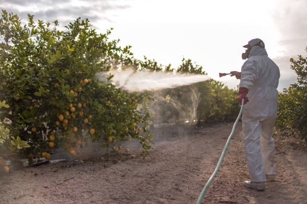 Best Pest Control Treatment  in Brunswick, MD